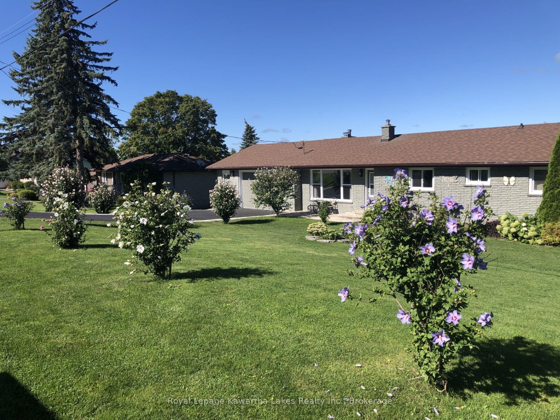 9 Buckhorn Road, Kawartha Lakes, ON K9V 4R6