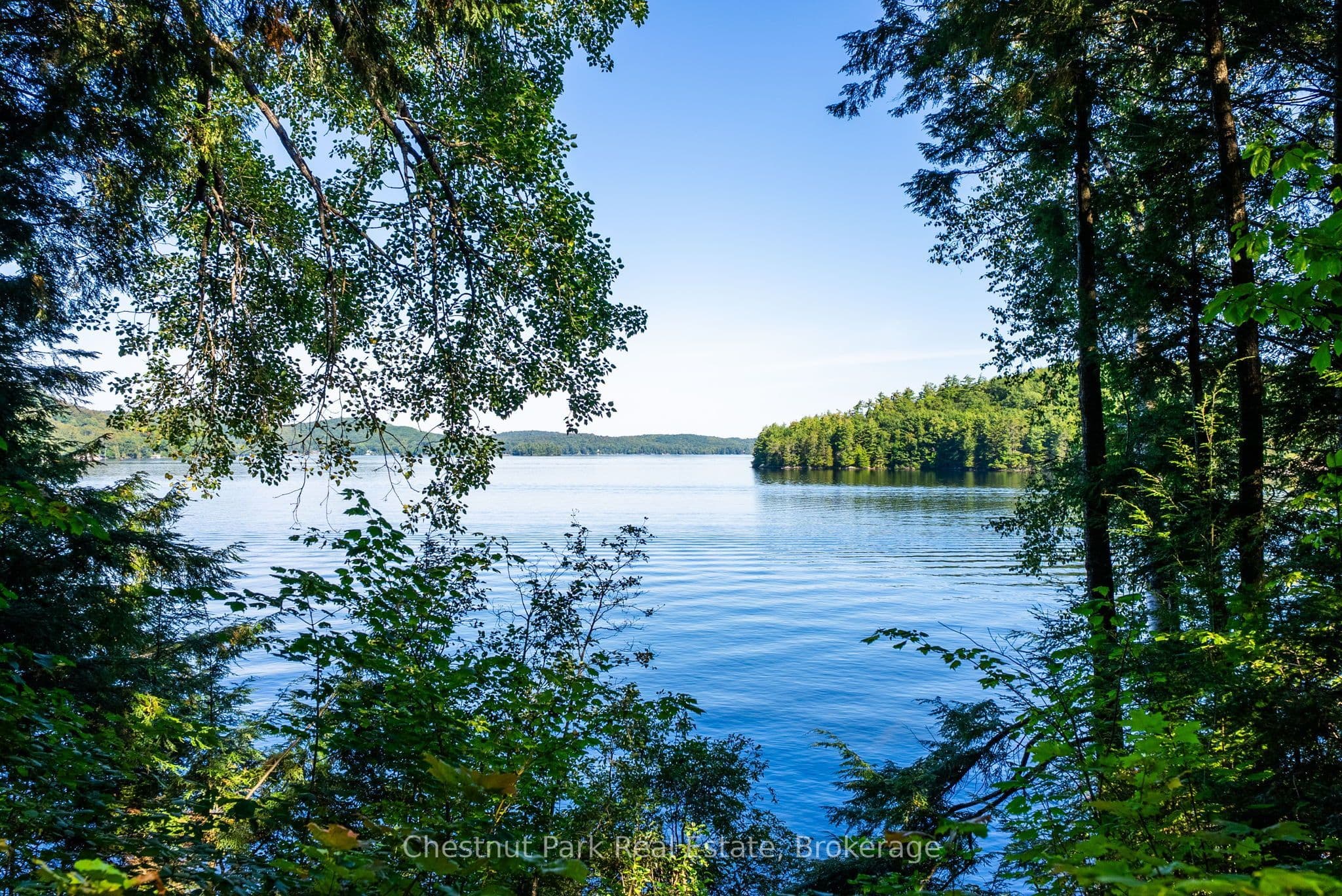 4339 Muskoka Road 117 Road, Lake of Bays, ON P0B 1A0