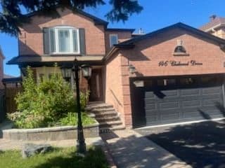 146 Chelwood Drive N Basement, Vaughan, ON L4J 7C4