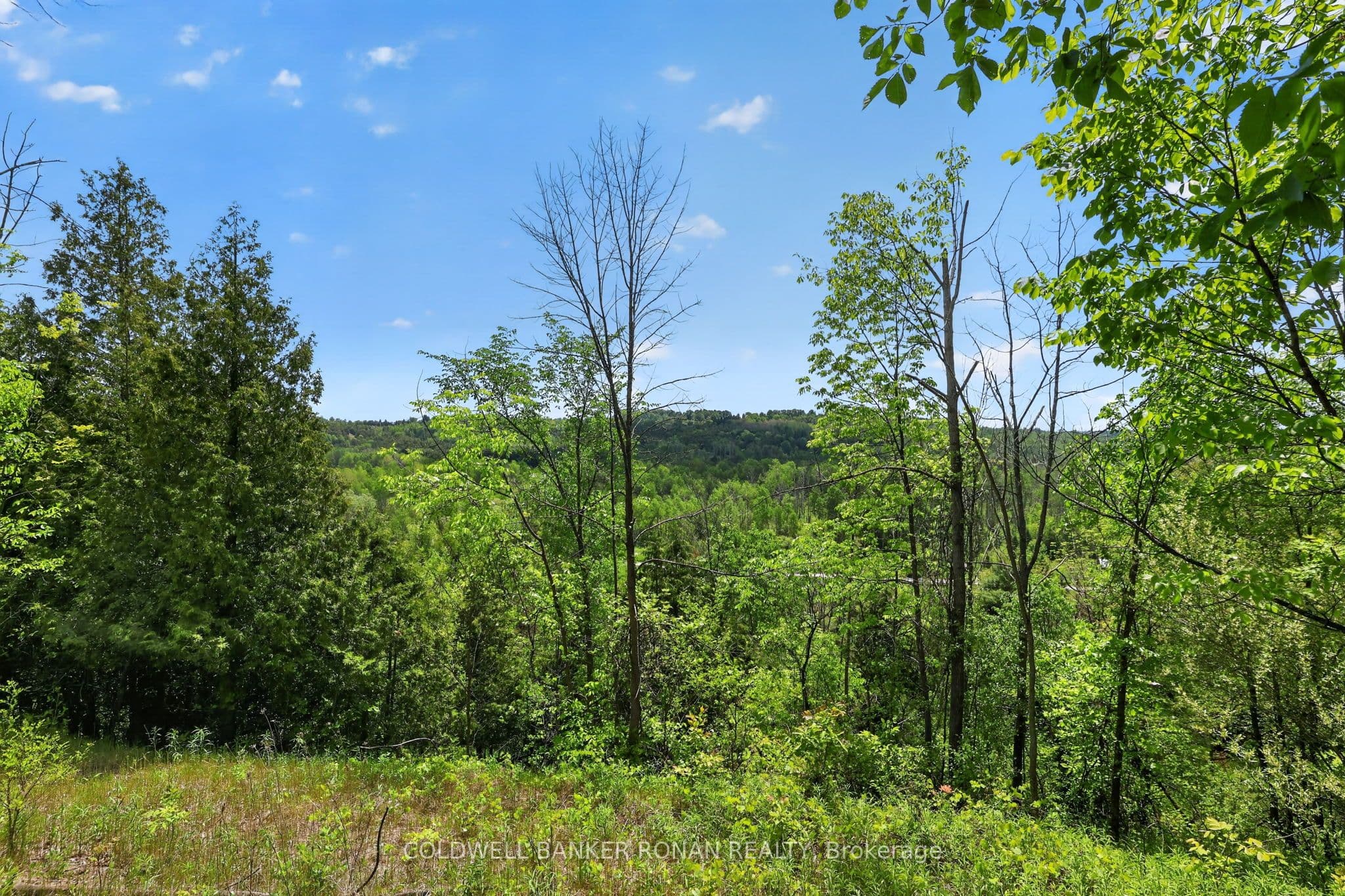 2946 Concession Rd 3, Adjala-Tosorontio, ON L0G 1L0