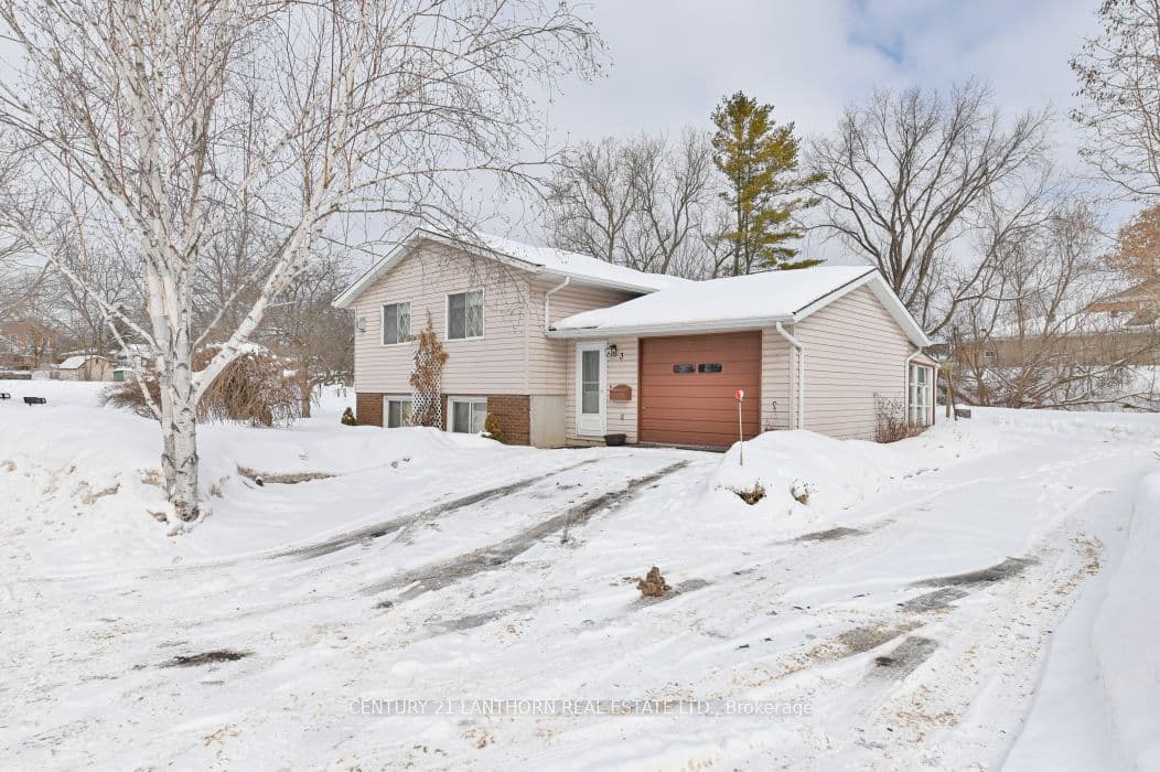 3 Champlain Street, Centre Hastings, ON K0K 2K0
