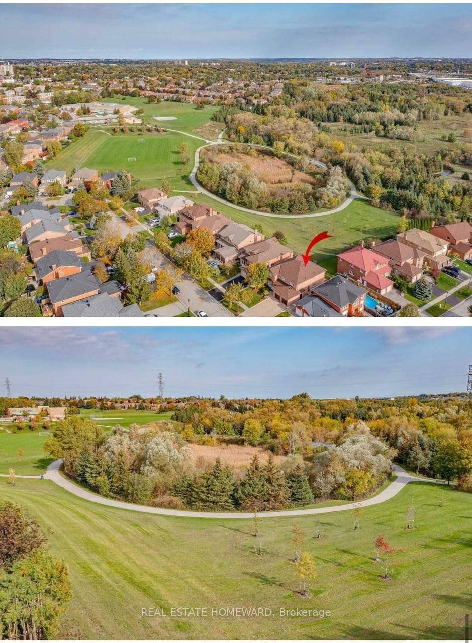 169 Revell Road W/O, Newmarket, ON L3X 1S7