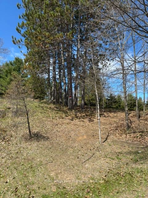 26686 Highway 62 S, Bancroft, ON K0L 1C0
