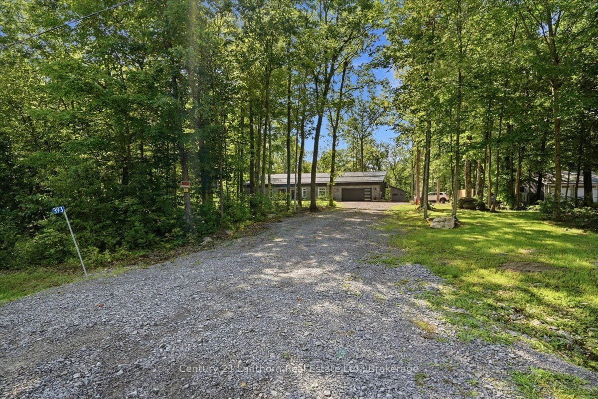 393 Wood Road, Centre Hastings, ON K0K 2K0