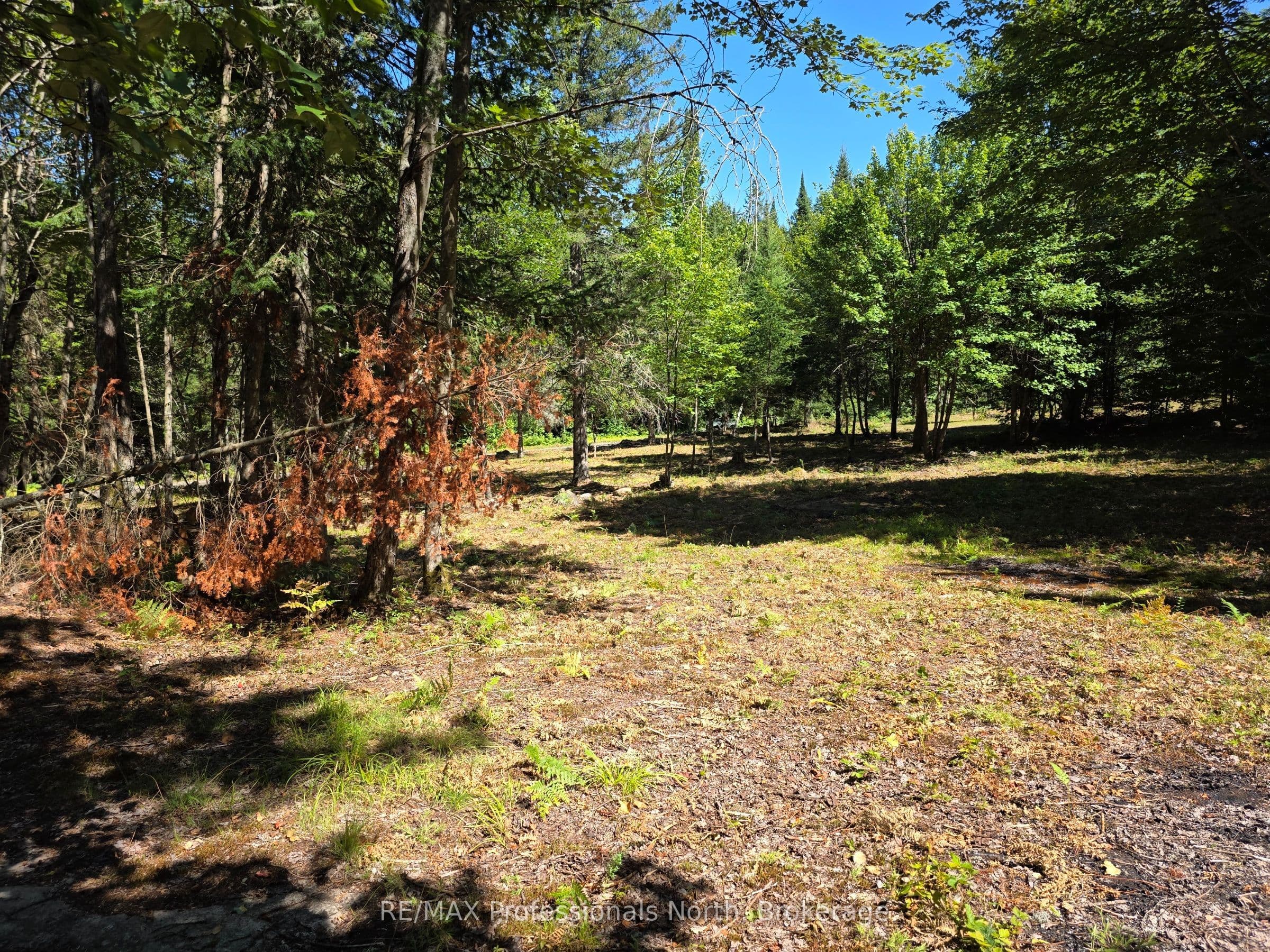 00 Whitney Road, Perry, ON P0A 1R0