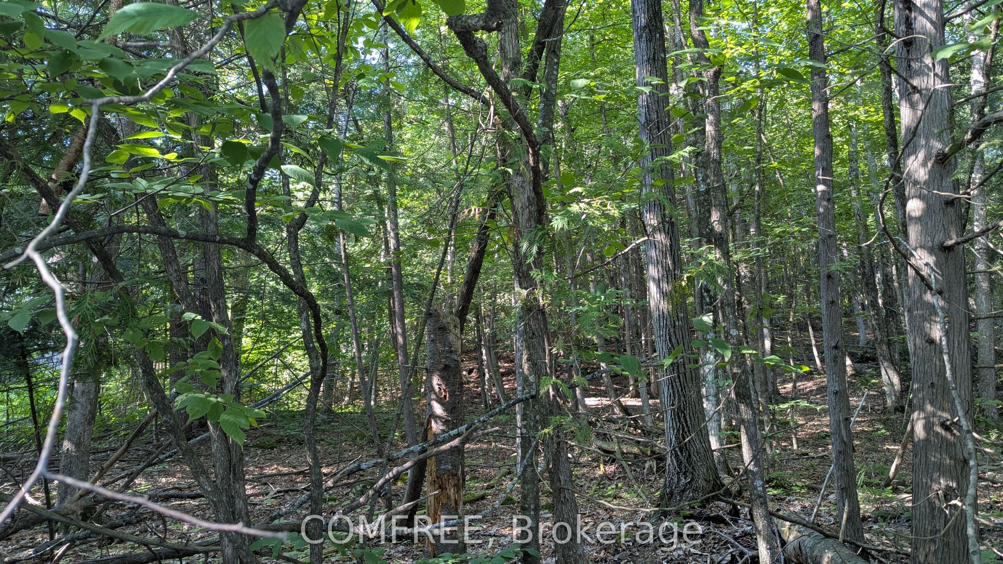 4853 Opeongo Road, Constance Bay - Dunrobin - Kilmaurs - Woodlawn, ON K0A 3M0