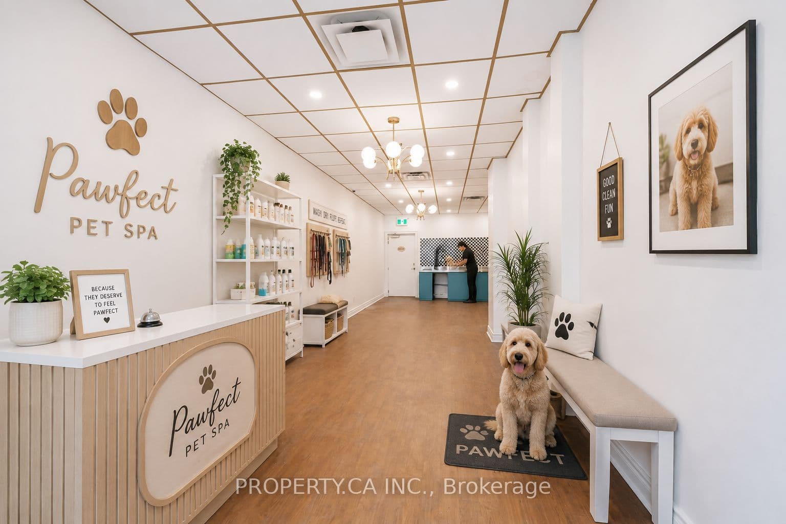 2657 Yonge Street Main, Toronto, ON M4P 2J6