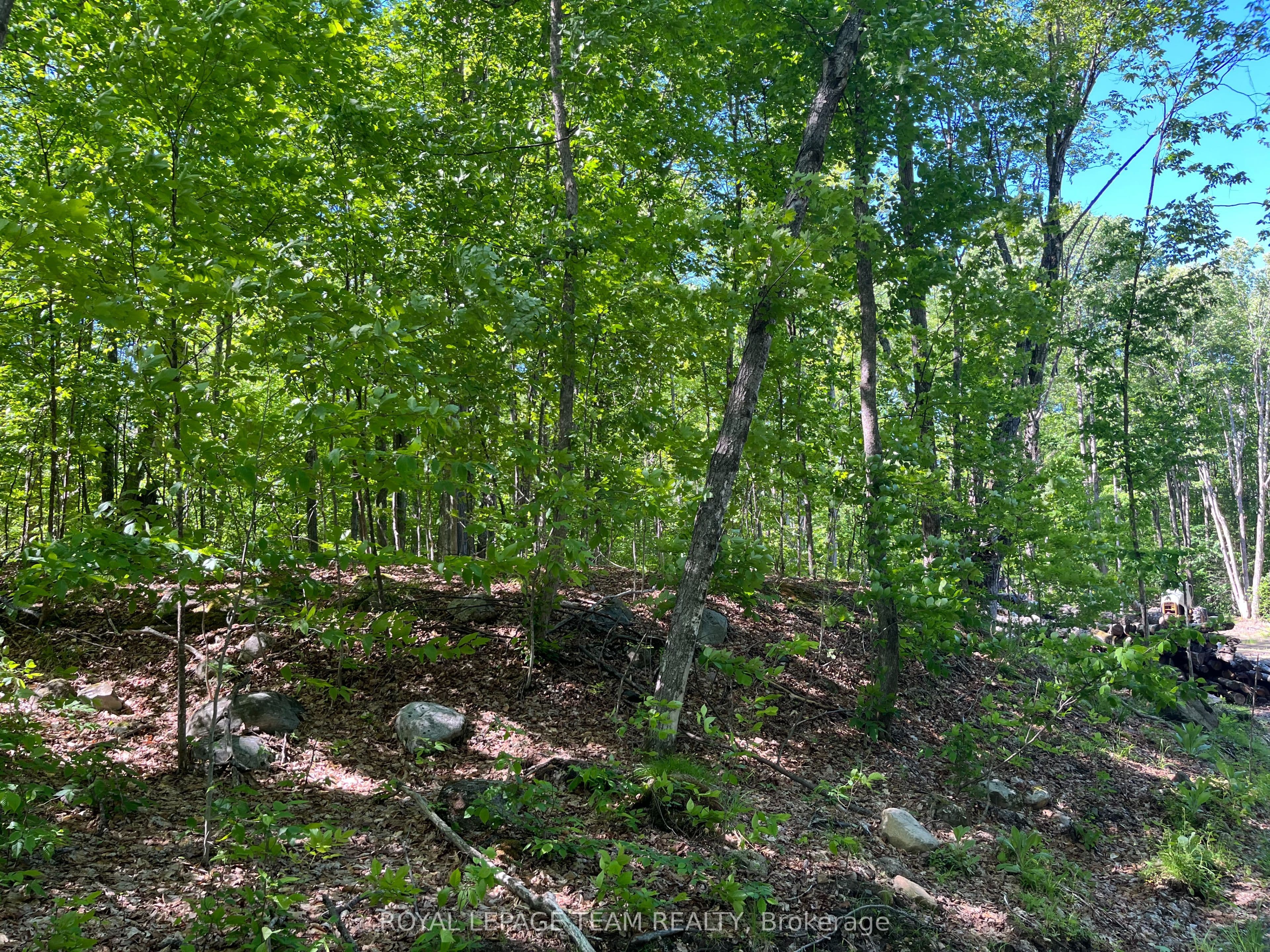 01 Siberia Road, Madawaska Valley, ON K0J 1B0