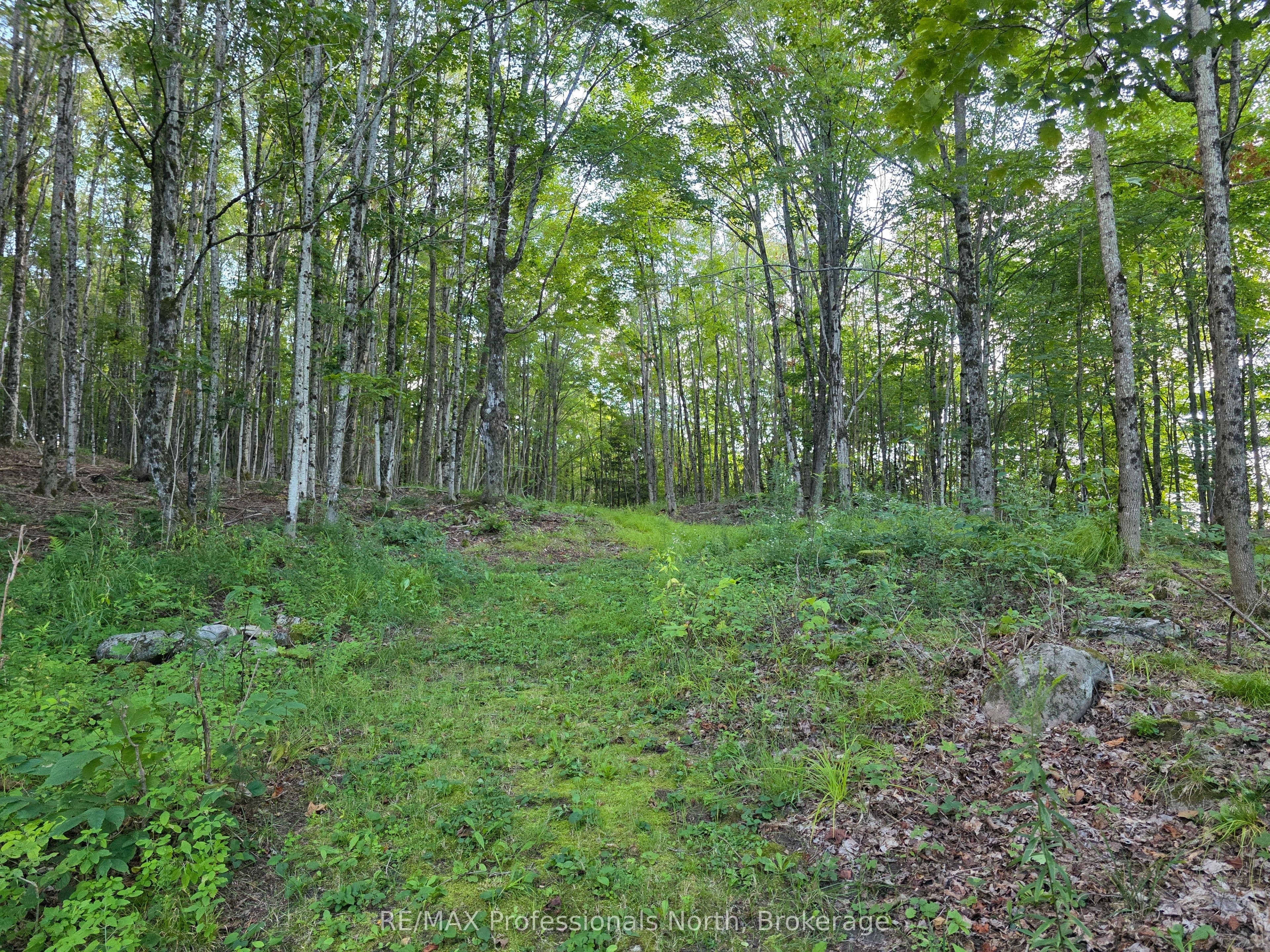 1026 Puffer Road, Minden Hills, ON K0M 2K0