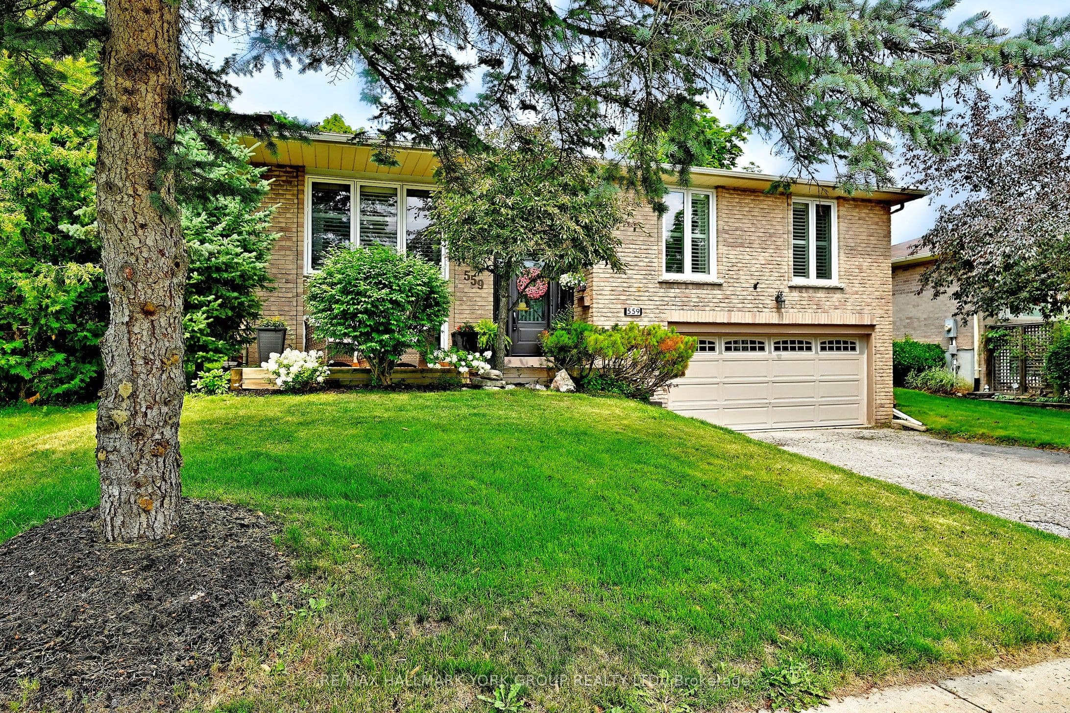 559 Haines Road, Newmarket, ON L3Y 6V4