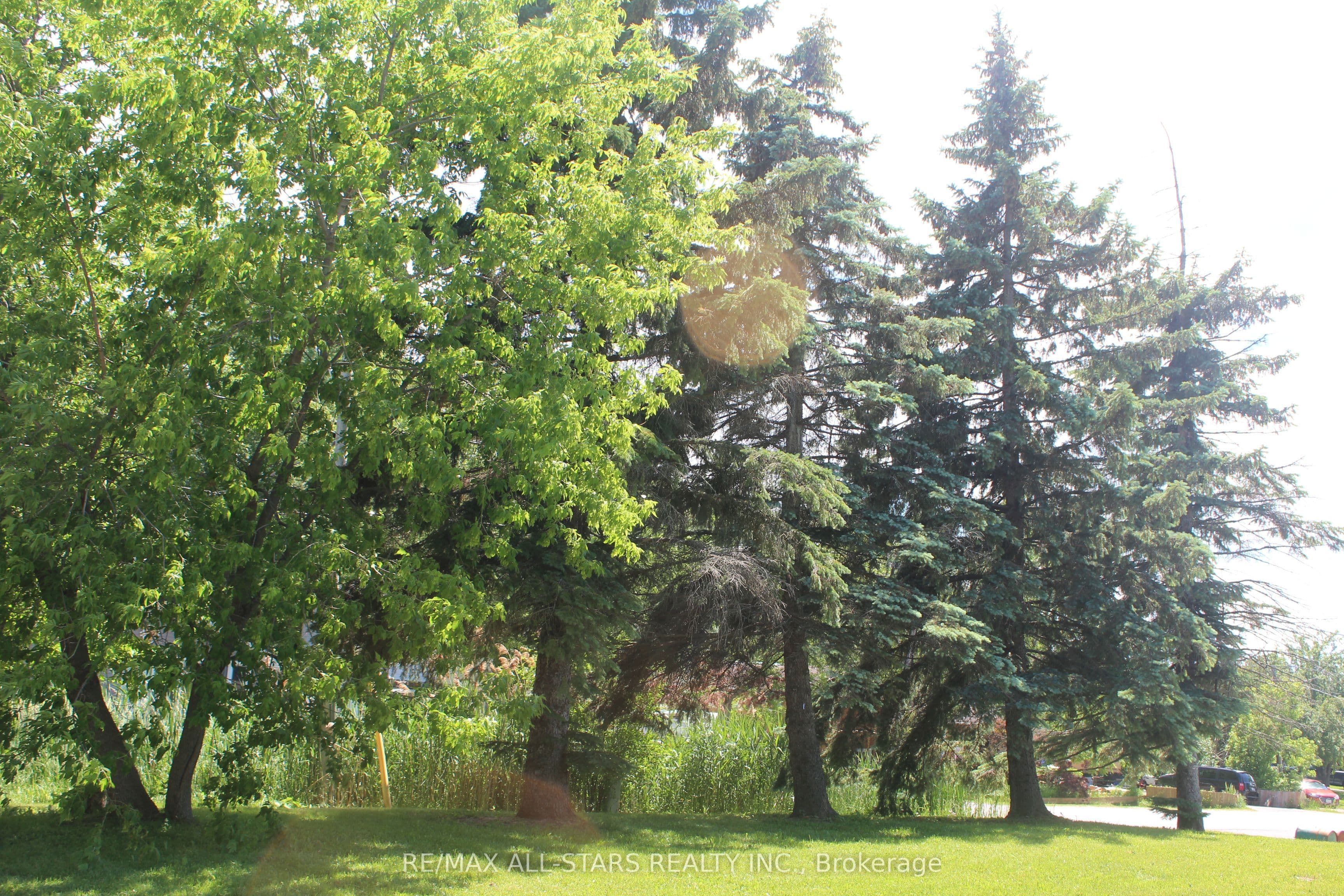 180 Frederick Street, Georgina, ON L4P 2J1
