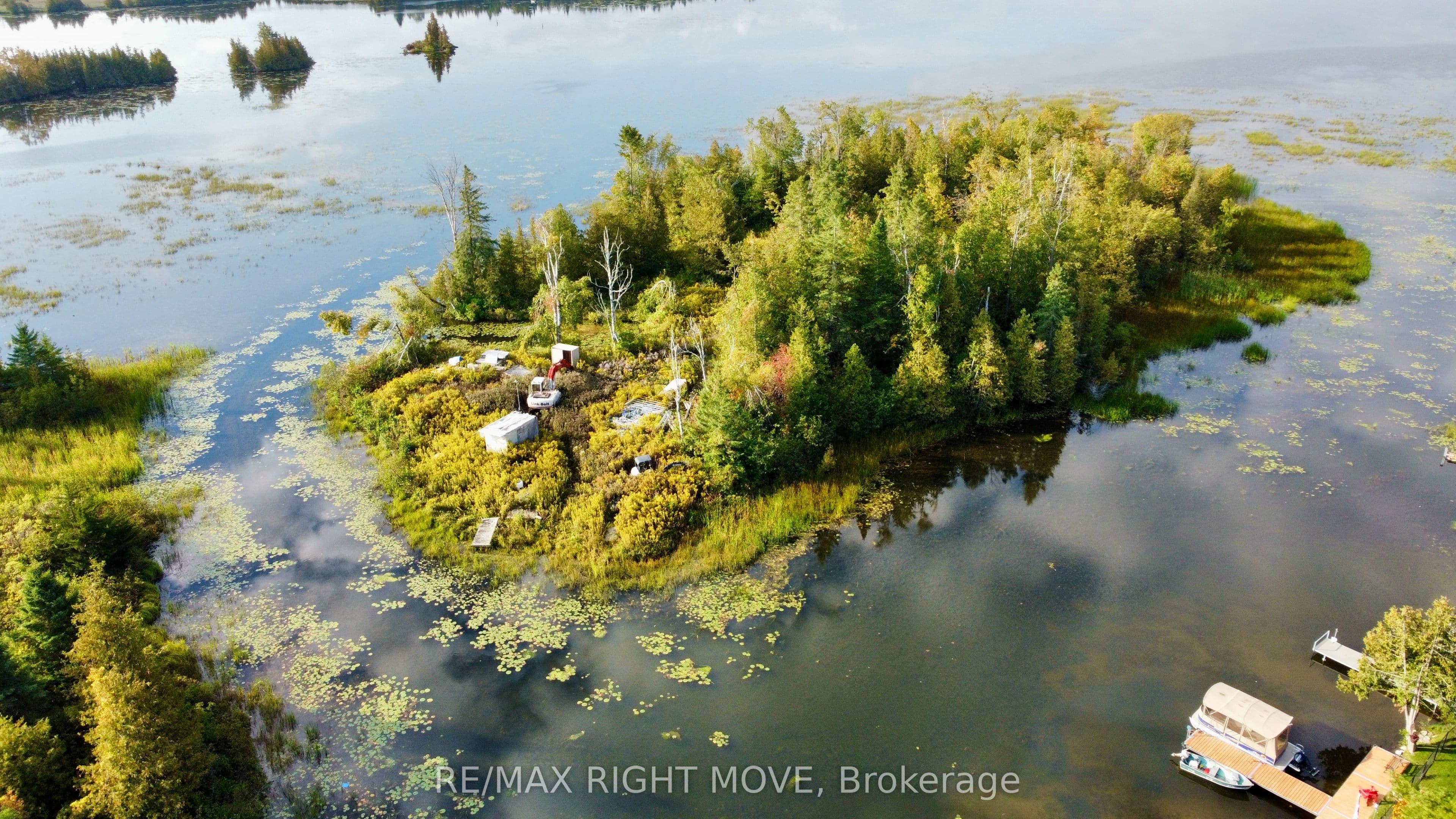 0 Mcguire Beach Road, Kawartha Lakes, ON K0M 2B0