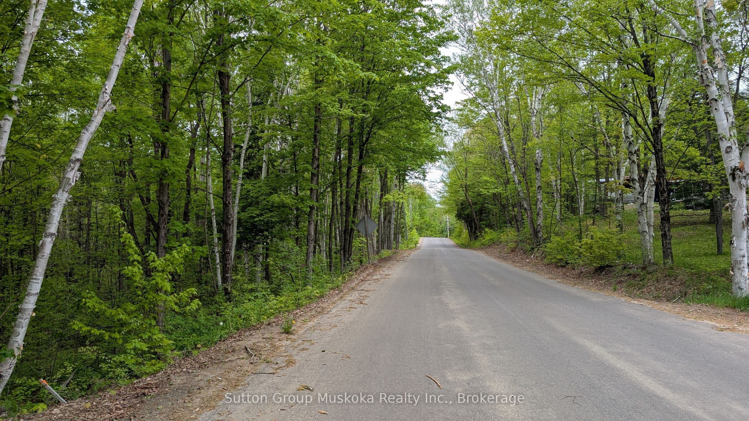 Lot 1 Tally-Ho Winter Park Road, Lake of Bays, ON P1H 2E8