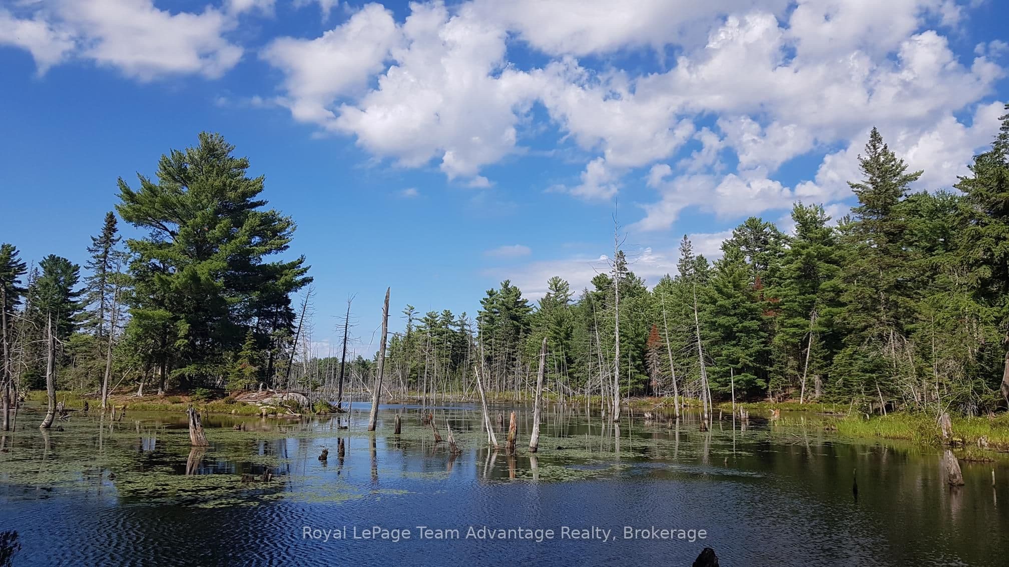 0 Unopened Road Allowance Road, McKellar, ON P2A 2W7